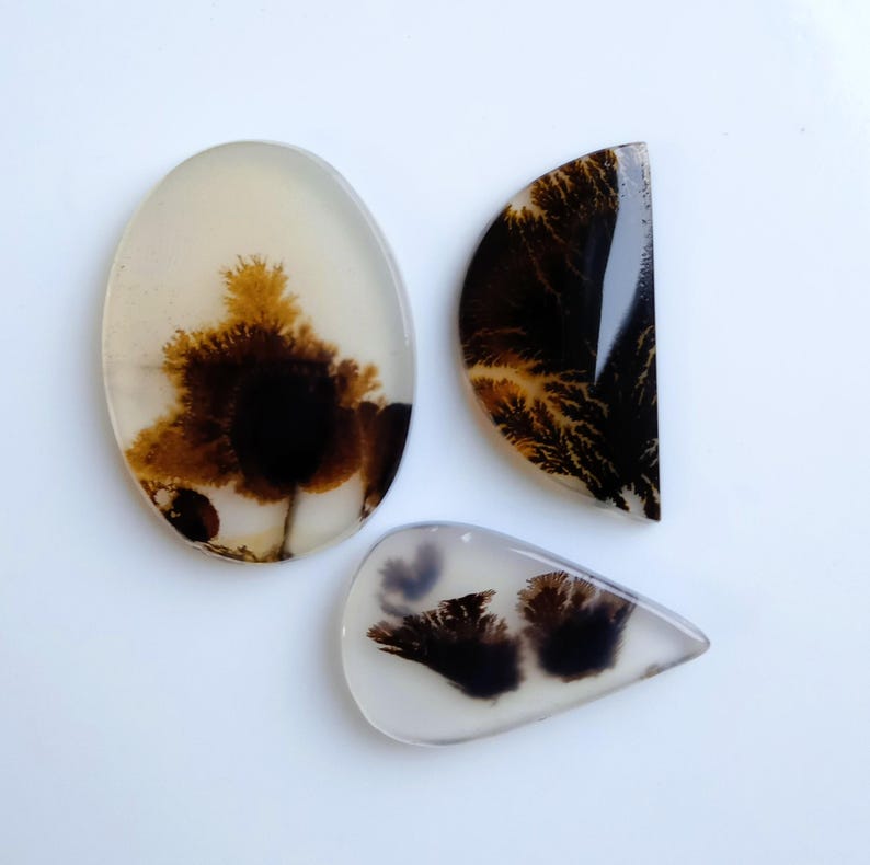May include: Three polished dendritic agate cabochons with smooth surfaces. One is a large oval, one is a semi-circle, and one is a teardrop shape. Each stone features translucent off-white coloring with dark brown and black fern-like inclusions.