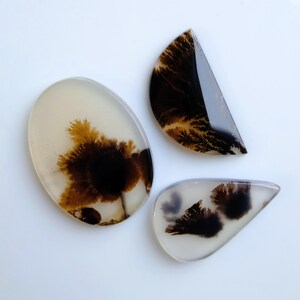 May include: Three polished dendritic agate cabochons with smooth, rounded edges. One large oval stone, one semi-circular stone, and one teardrop-shaped stone, all featuring translucent off-white bases with dark brown, fern-like inclusions.