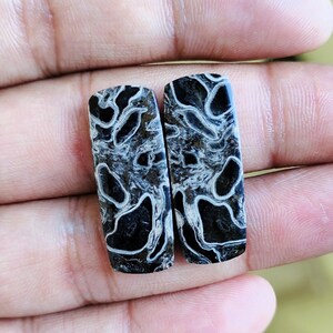 May include: Two rectangular gemstones with a black and white patterned design. The stones have a polished surface and are held in a hand. The pattern resembles a network of veins or abstract shapes.