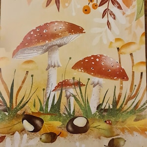 champignons d'automne