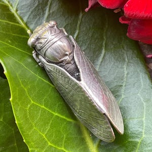 May include: A silver-toned cicada insect figurine featuring detailed wing venation and a textured head. The metallic insect has a smooth, rounded body and is crafted with realistic anatomical features, including segmented wings and a defined thorax.