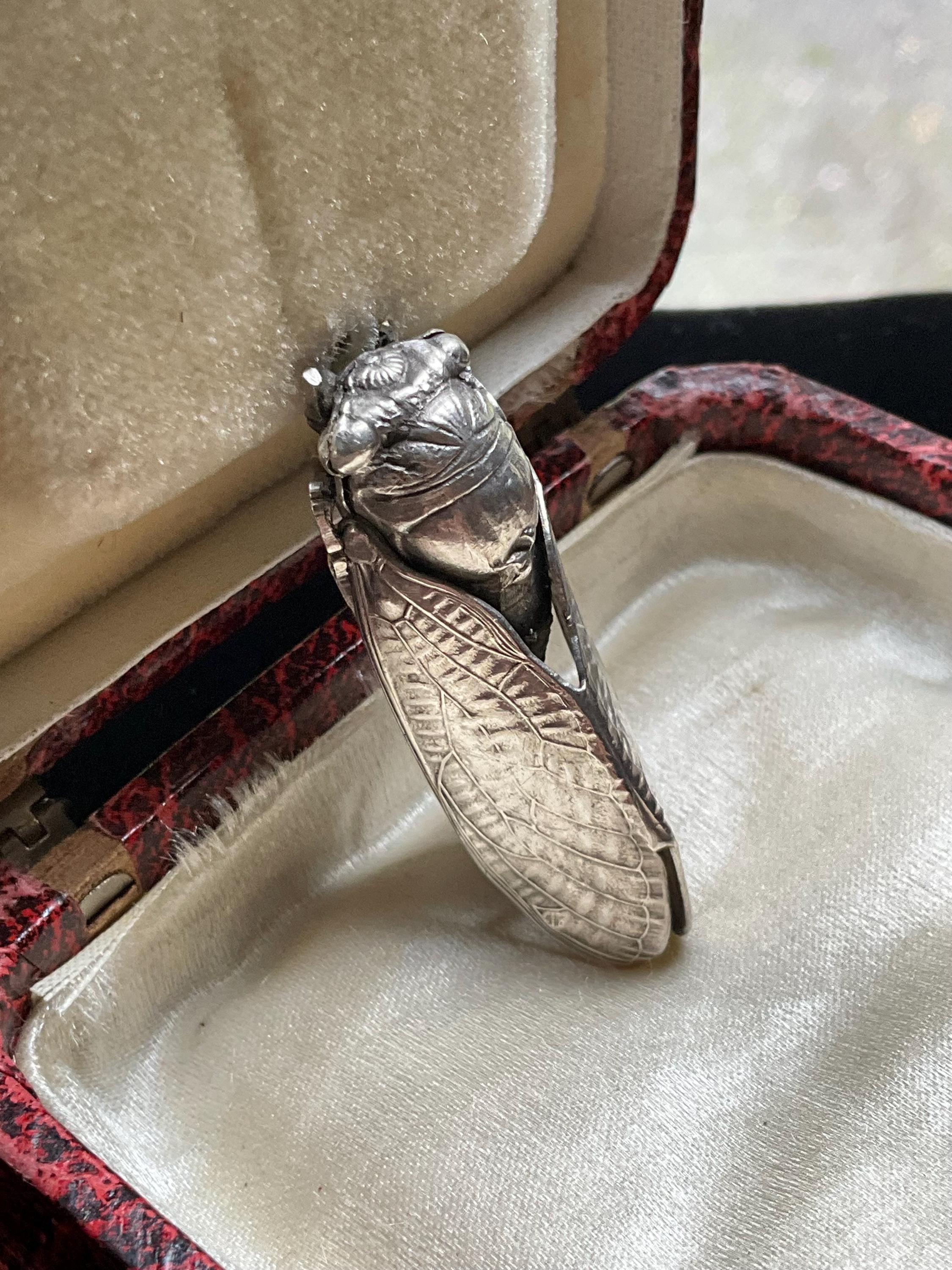 アンティークソリッドシルバーフレンチラッキーセミブローチ、リアルな