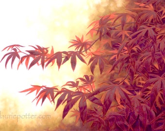 Botanical painting titled "Emperor Maple", nature art, trees, print on canvas