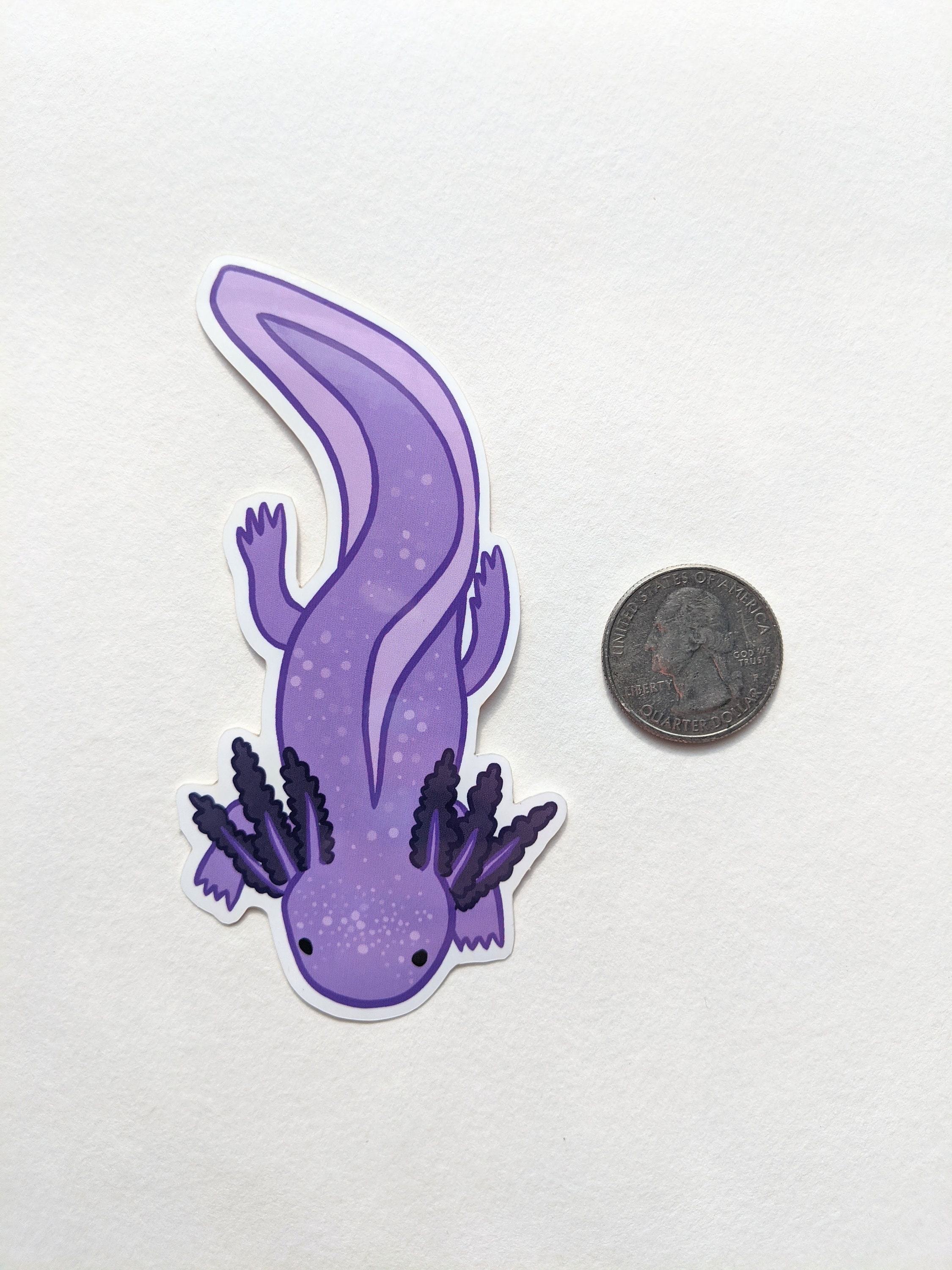 Axolotl Stickers - Individual Rainbow Stickers - Etsy