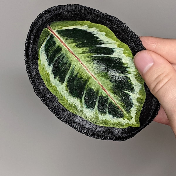 Calathea Prayer Plant Leaf Jacket Patch
