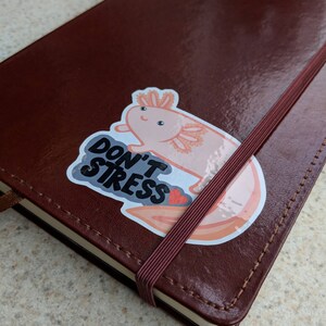 May include: A brown leather-bound journal with an elastic closure and a sticker of a cartoon axolotl that says "DON'T STRESS". The journal has a ribbon bookmark.