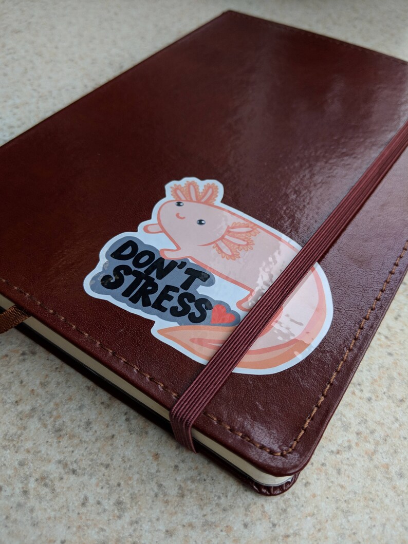 May include: A brown leather-bound journal with an elastic closure and a sticker of a cartoon axolotl that says "DON'T STRESS". The journal has a ribbon bookmark.
