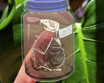 May include: A clear sticker depicting a rodent skeleton within a glass jar, topped with a blue lid. The skeleton's ribs, skull, and spine are clearly visible. A label reads "Fig. 176" and "rattus norvegicus".