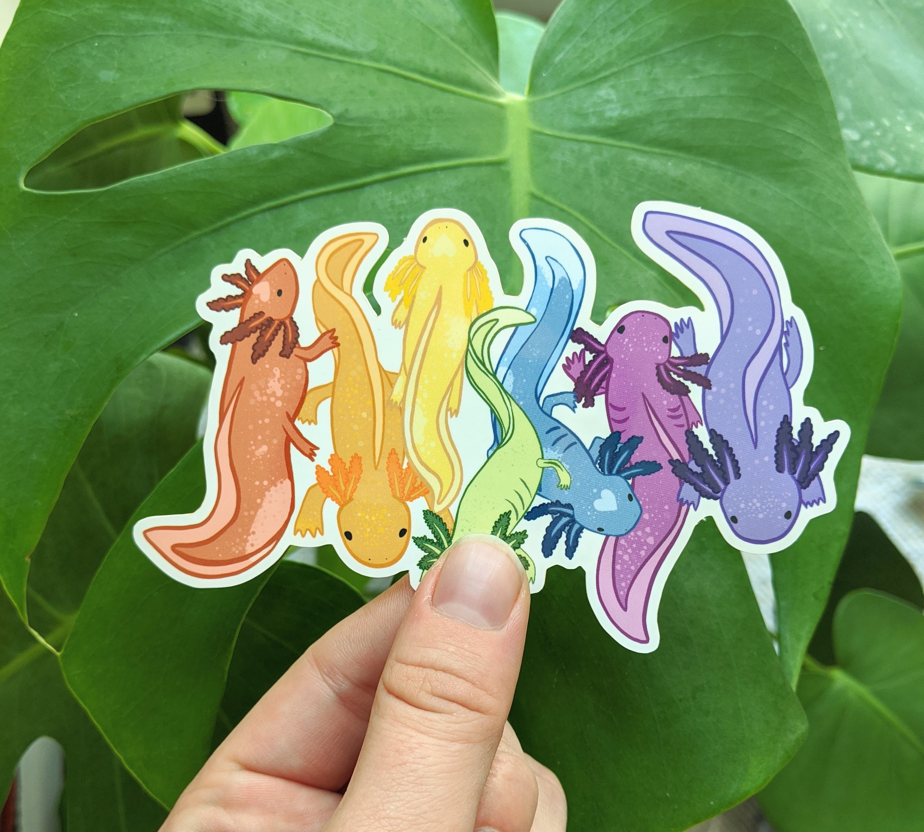 Sticker Axelo Axolotl Sticker Pack - 30+ Stickers Total - Etsy