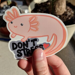 May include: A sticker featuring a cartoon axolotl in shades of pink and orange. The axolotl has a smiling face and is accompanied by the text "DON'T STRESS" with a small red heart. The sticker is held by a hand.