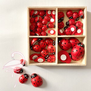 Doos met houten zelfklevende lieveheersbeestjes