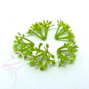 Staubblätter aus Kunststoff, grün – 20 mm x 5 Stück