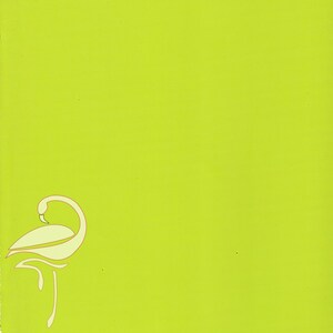 Gommapiuma per fiori, artigianato, creazione di biglietti e scrapbooking - Mela verde 030 (0,8 mm) - 35 x 30 cm