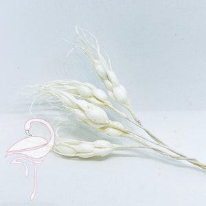 Weizenähren weiß – 10 cm x 5 Stück