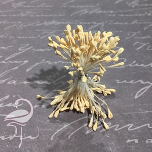 Stamens Matt Heart 3mm Sand - Pack of 100