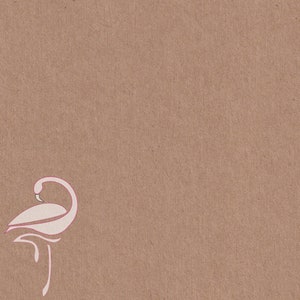 Papier cartonné - A4 Kraft - 255 gsm