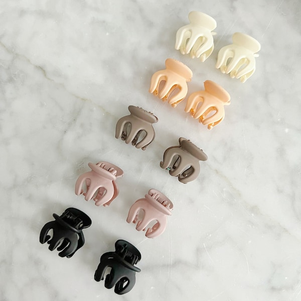 Conjunto de 10 mini garras de cabelo, grampos de cabelo minúsculos, grampos de cabelo, garra de cabelo fofa, garra de cabelo de menina, grampo de grampo