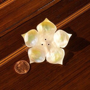 May include: A white mother of pearl flower-shaped trinket dish with four holes in the centre. The dish is sitting on a dark wood surface.
