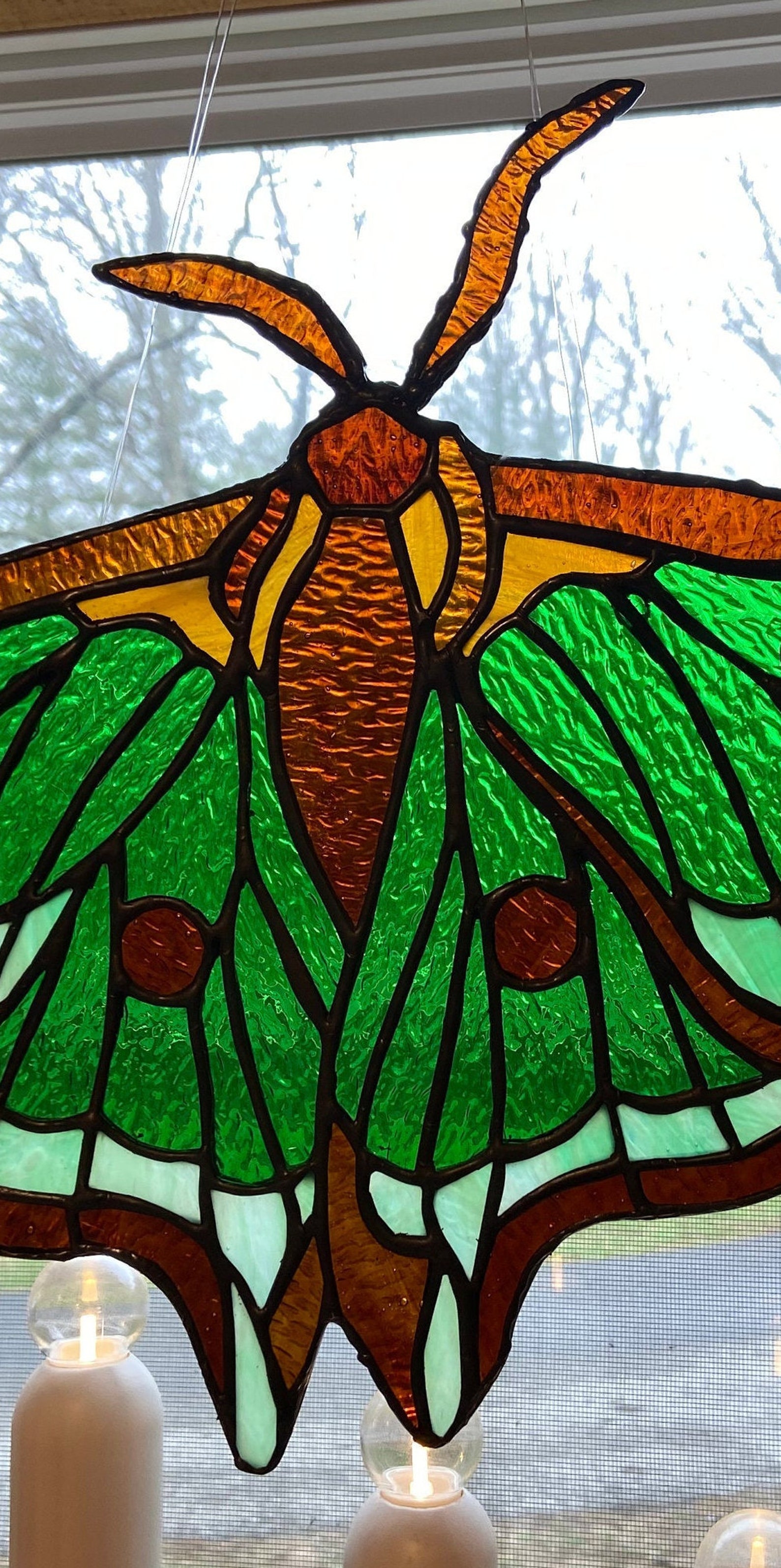 gorogoa moth glass gorogoa moth glass