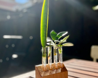 Wall hanging propagation cradle