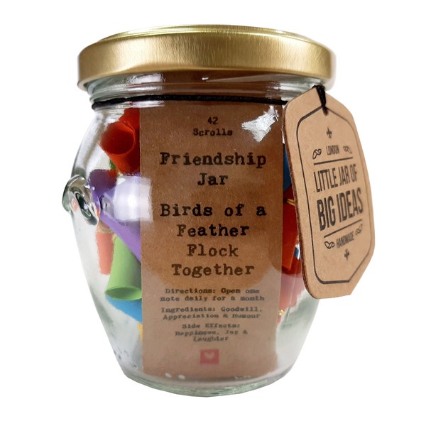 Friendship Jar - Birds of a Feather Flock Together - Thoughtful Gift - Unique Present - Artisan Handcrafted Gift  - Little Jar of Big Ideas
