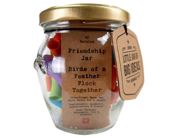 Friendship Jar - Birds of a Feather Flock Together - Thoughtful Gift - Unique Present - Artisan Handcrafted Gift  - Little Jar of Big Ideas