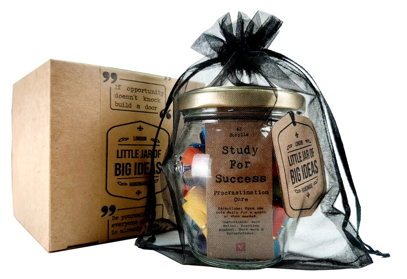 Study for Success Procrastination Cure Jar Thoughtful Gift Motivational Present Unique Gift, Study Gift Idea, Student Gifts, Uni Gift image 7