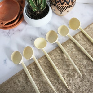 Set of six rustic moroccan wooden spoons