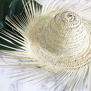 May include: A woven straw hat with a wide brim and a rounded crown. The hat is light beige in color and has a natural, textured appearance. A large, dark green monstera leaf is visible in the background.