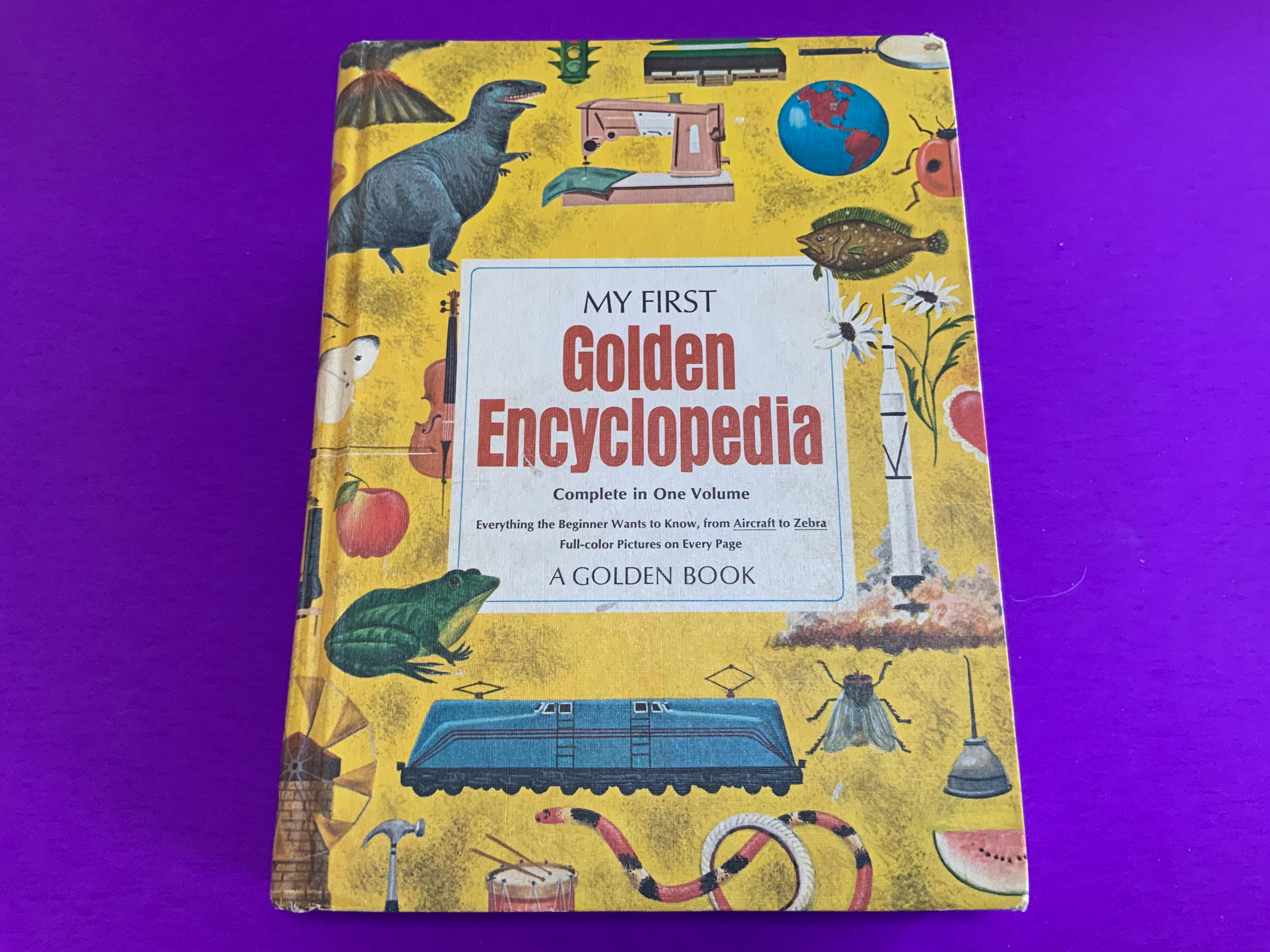 My First Discovery Books - Etsy