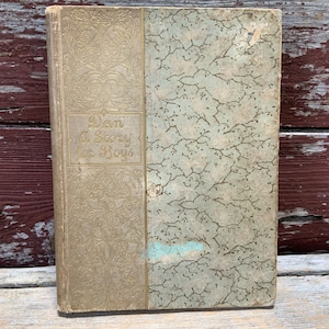 1892 Children’s Book Dan A Story for Boys First Edition Victorian Mary D Brine
