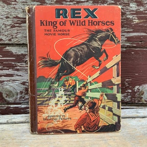 1928 Children’s Book Rex King of Wild Horses Universal Pictures Films Horse Movie Star