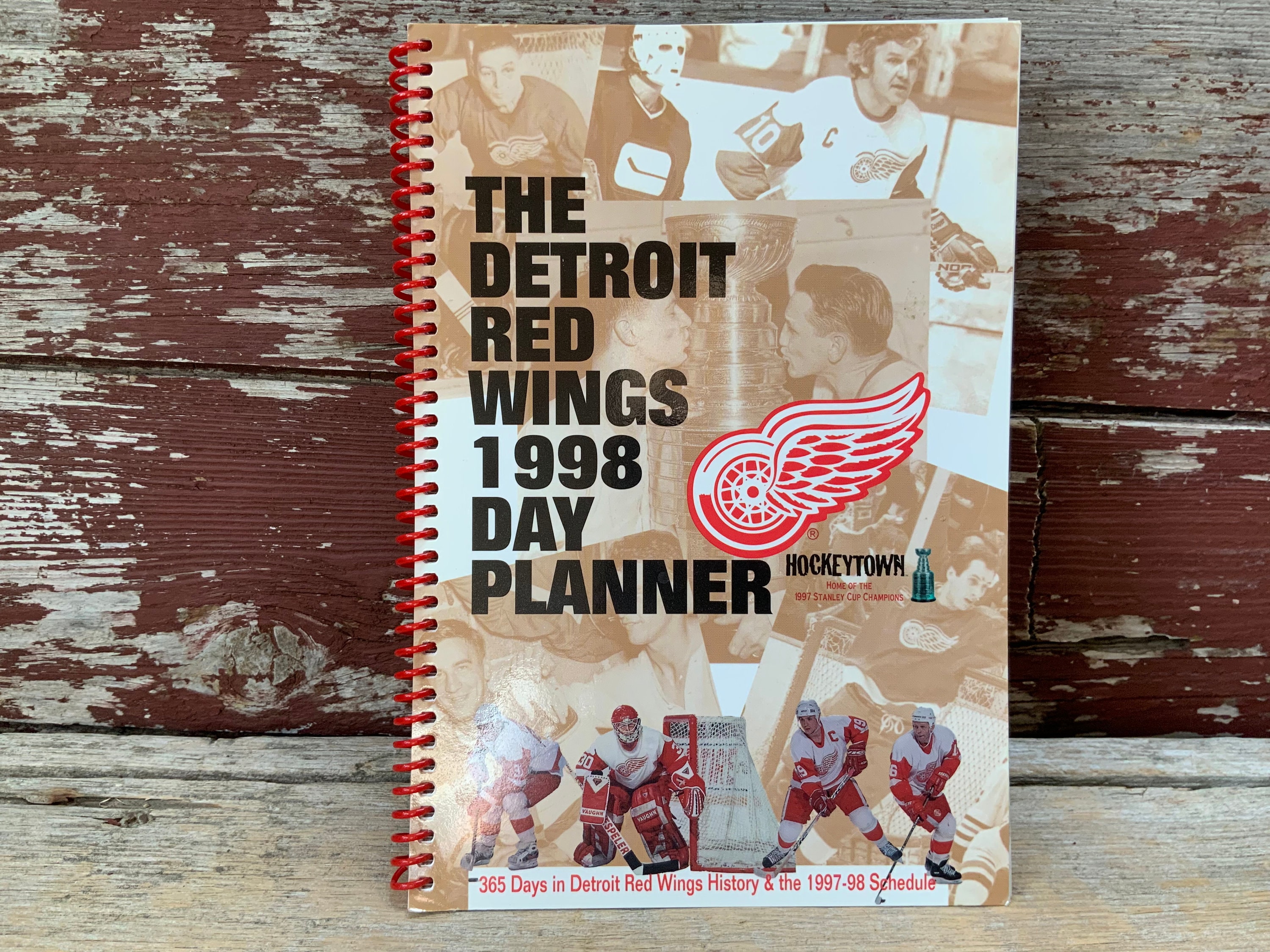 Detroit Red Wings book excerpt: Chris Osgood at home in Hockeytown