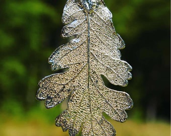Silver Oak Genuine leaf Pendant