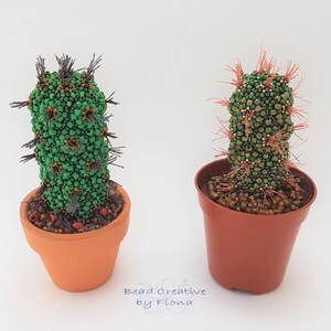 May include: Two beaded cactus plants in terracotta pots. The cactus on the left has green beads and brown accents. The cactus on the right has green beads with pink and gold accents. The text "Bead Creative by Fiona" is visible at the bottom of the image.
