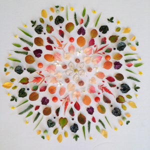 Composition d'automne