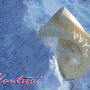Une scène hivernale (#3) • A winter scene (#3)