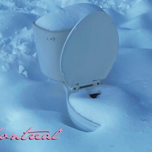 Une scène hivernale (#2) • A winter scene (#2)