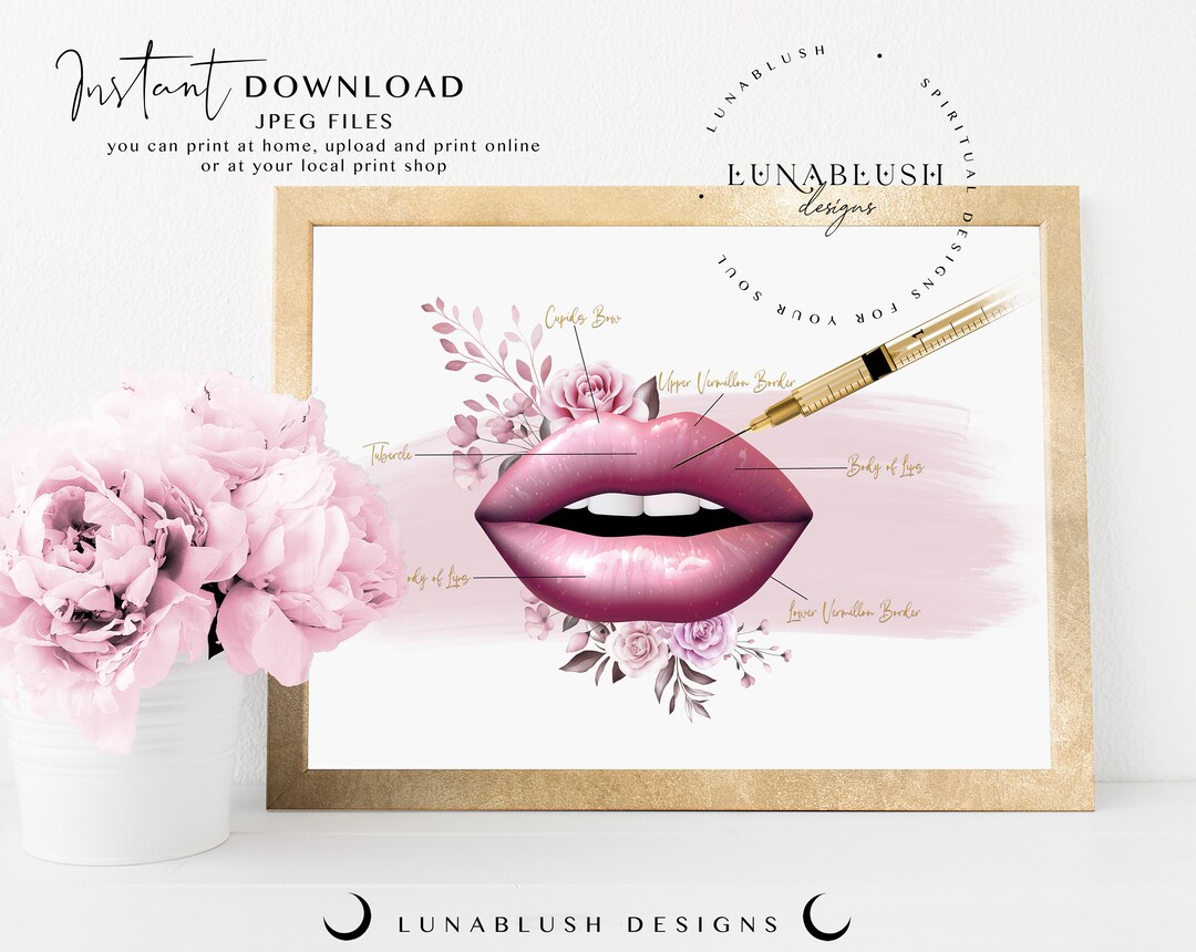 Lip Injection Lip Anatomy Printable Wall Art Beauty Salon - Etsy
