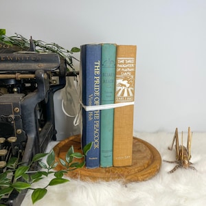 Blue & Tan Vintage Book Set: Decorative Antique Hardcovers