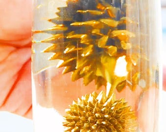 LUMATITE Gold Colored Ferrofluid in Rocket Shaped Bottle, Illuminated Base