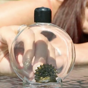 Colorful Ferrofluid in a Bottle (Gold)