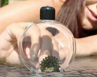 Colorful Ferrofluid in a Bottle (Gold)