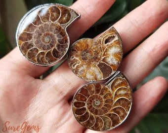 Ammonite Fossils Ring,Natural Snail Fossil Slice Slab Ring,Shell Ring,Conch Ring,Band Rings,Simple Ring,Party Ring,Fashion Jewelry