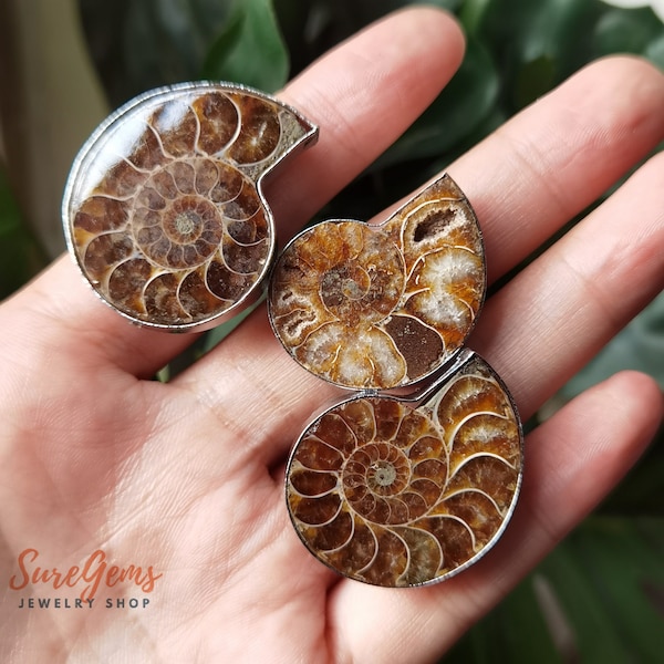Ammonite Fossils Ring,Natural Snail Fossil Slice Slab Ring,Shell Ring,Conch Ring,Band Rings,Simple Ring,Party Ring,Fashion Jewelry