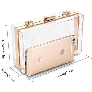 Pode incluir: Uma carteira de m&atilde;o transparente de acr&iacute;lico com uma moldura e fecho de metal dourado. A carteira mede 18 cm de largura, 10,5 cm de altura e 5,5 cm de profundidade.