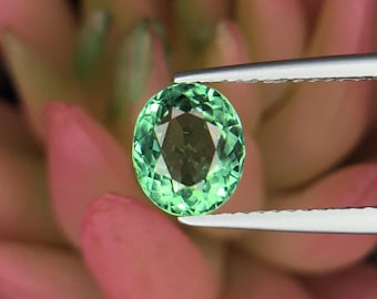 1,59 ct oval Paraiba-turmalin – Moçambique-certifierad ädelsten