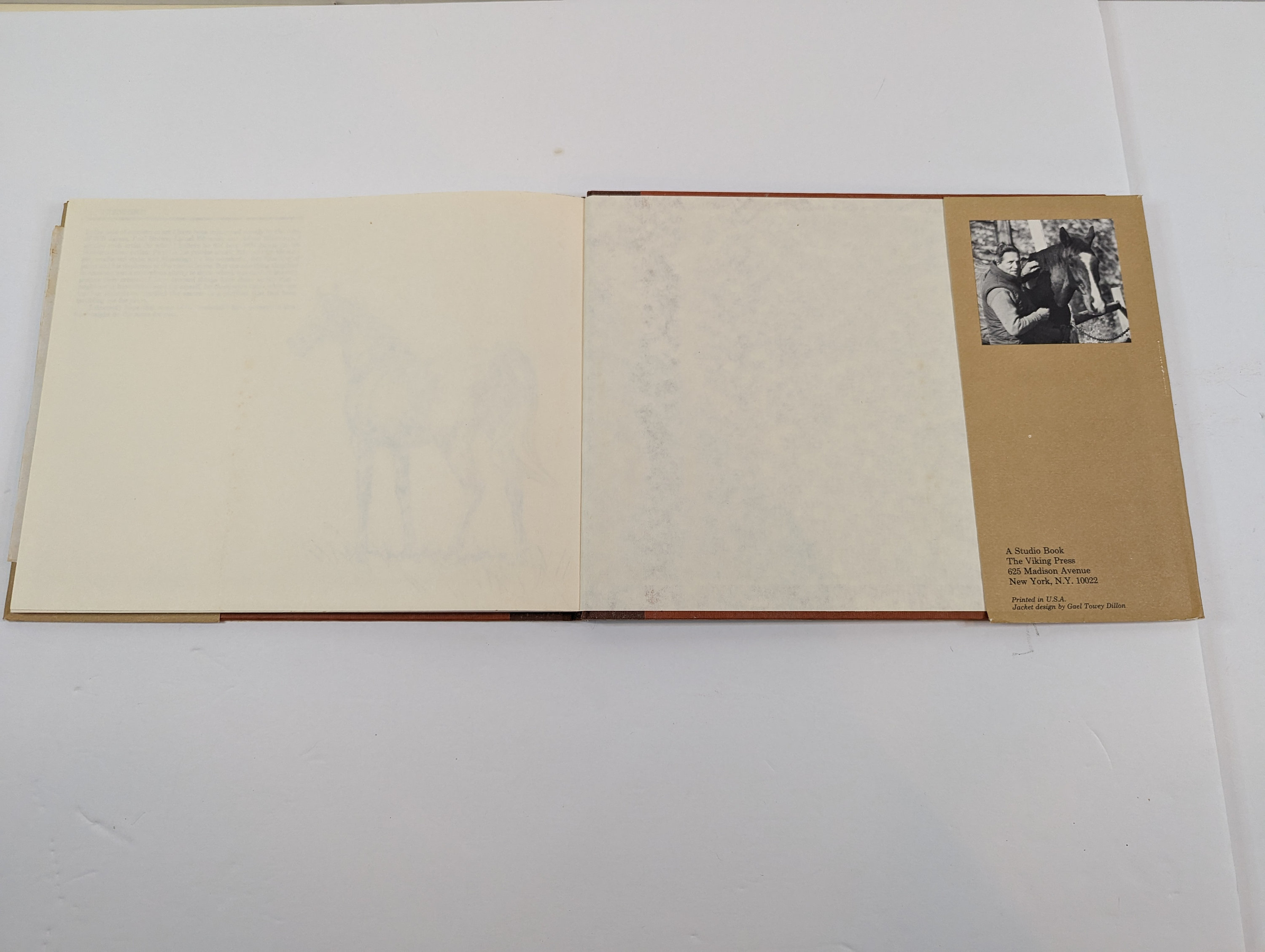 Draw Horses With Sam Savitt 1981 Drawing Instruction Book Etsy