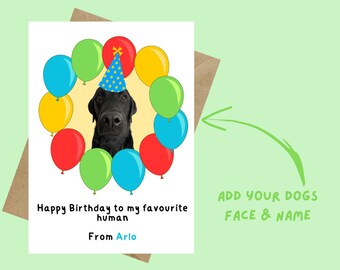 Personalised Birthday Card From Your Pet, Card From The Dog Or Cat (add your own image)