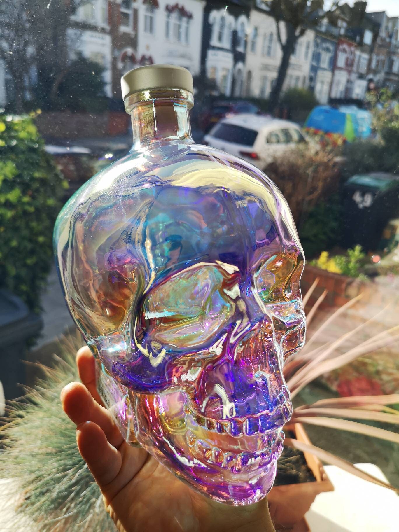 CRYSTAL HEAD AURORA - Old Town Tequila